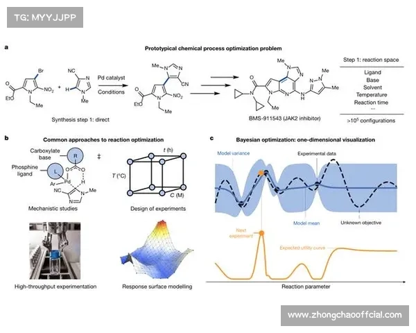 AI算法优化赛事赛程安排，平衡各方需求